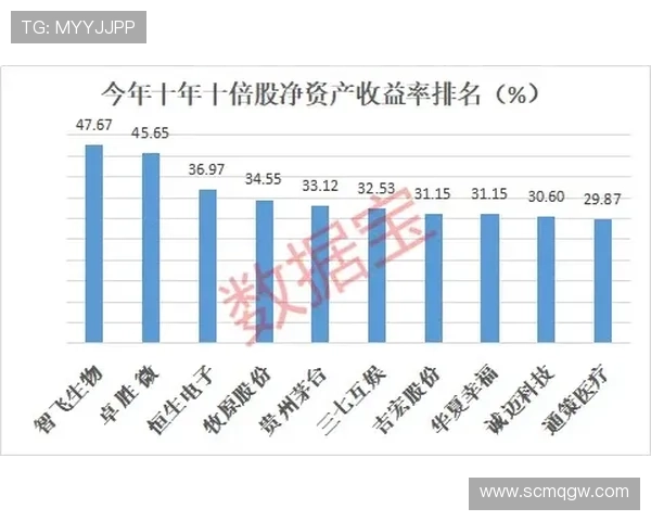 居莱尔与贝林厄姆 未来核心适配度及成长潜力差异分析
