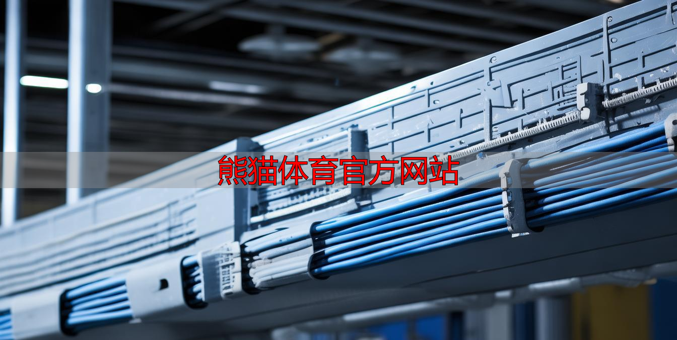 熊猫体育官方网站