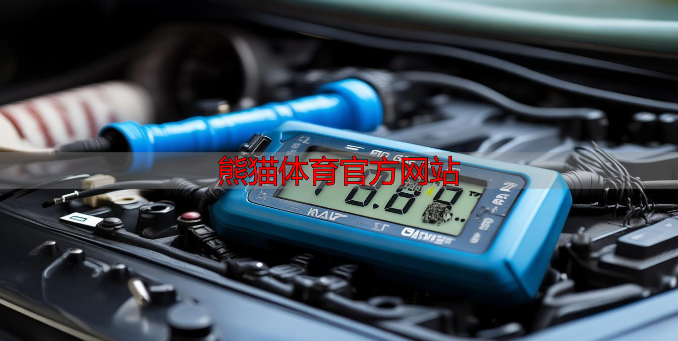 熊猫体育官方网站