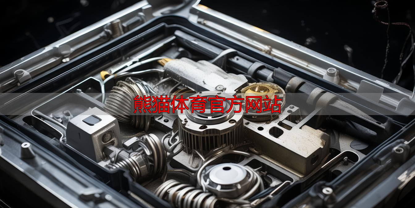 熊猫体育官方网站