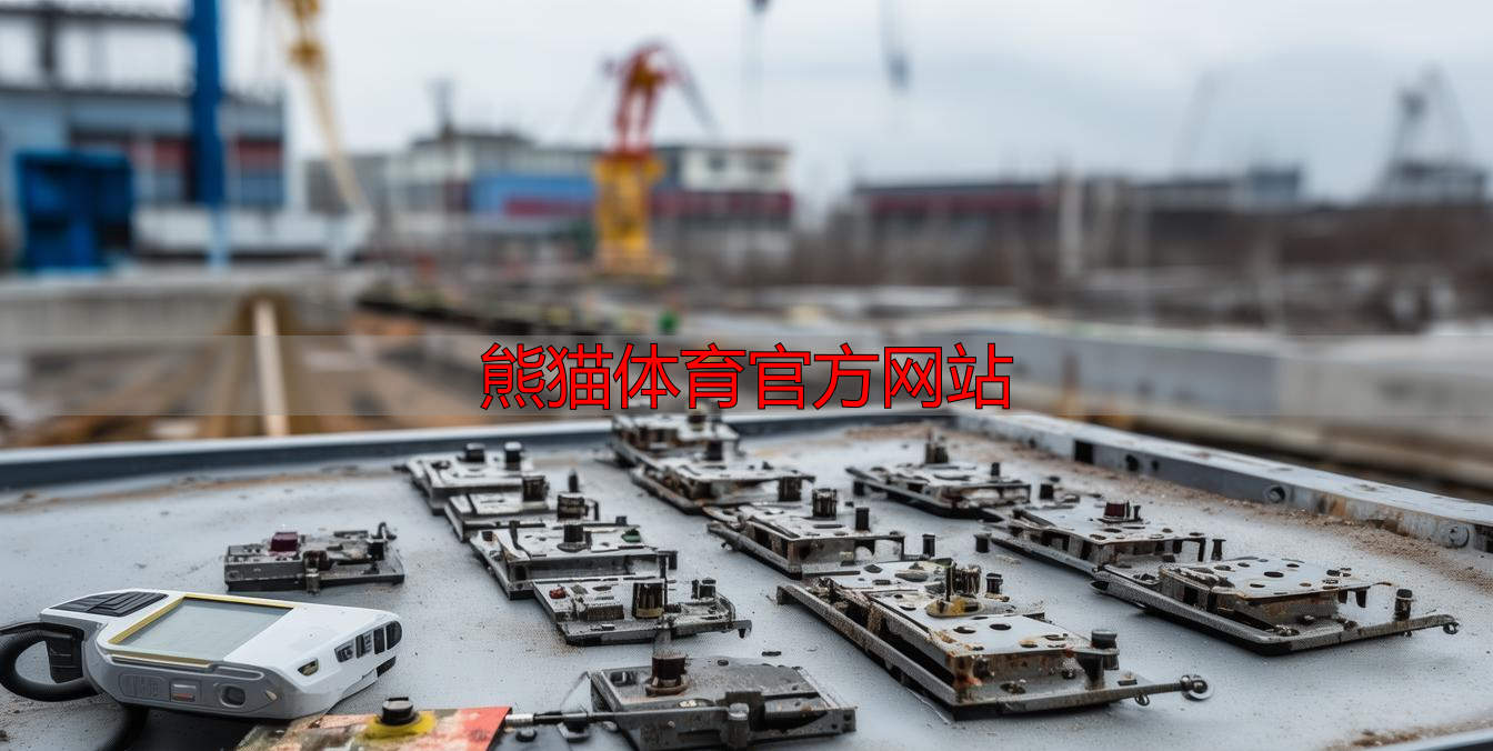 熊猫体育官方网站