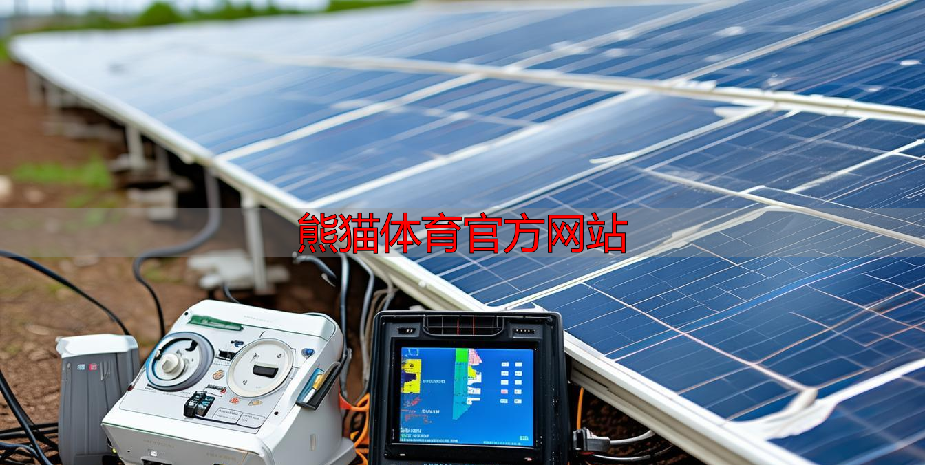 熊猫体育官方网站