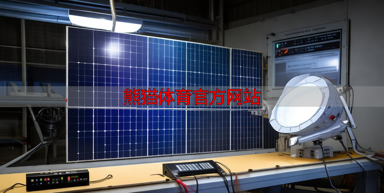 熊猫体育官方网站