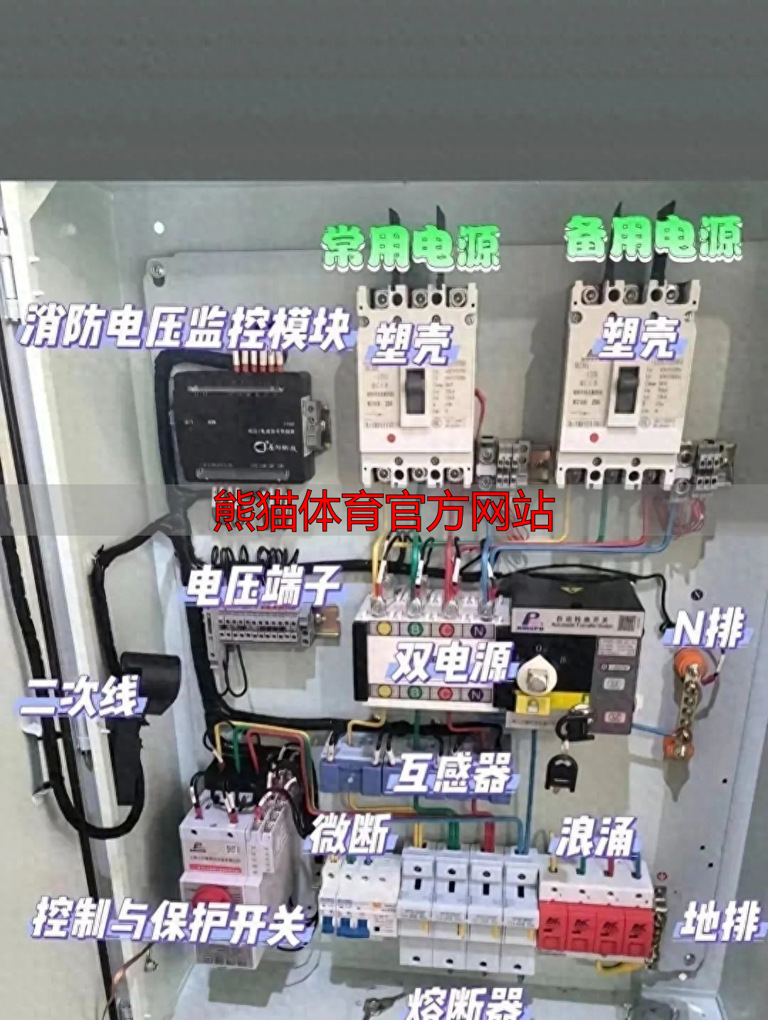 熊猫体育官方网站